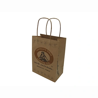 Eco-Friendly Custom Designed Wholesale Brown Kraft Paper Bags with Logo